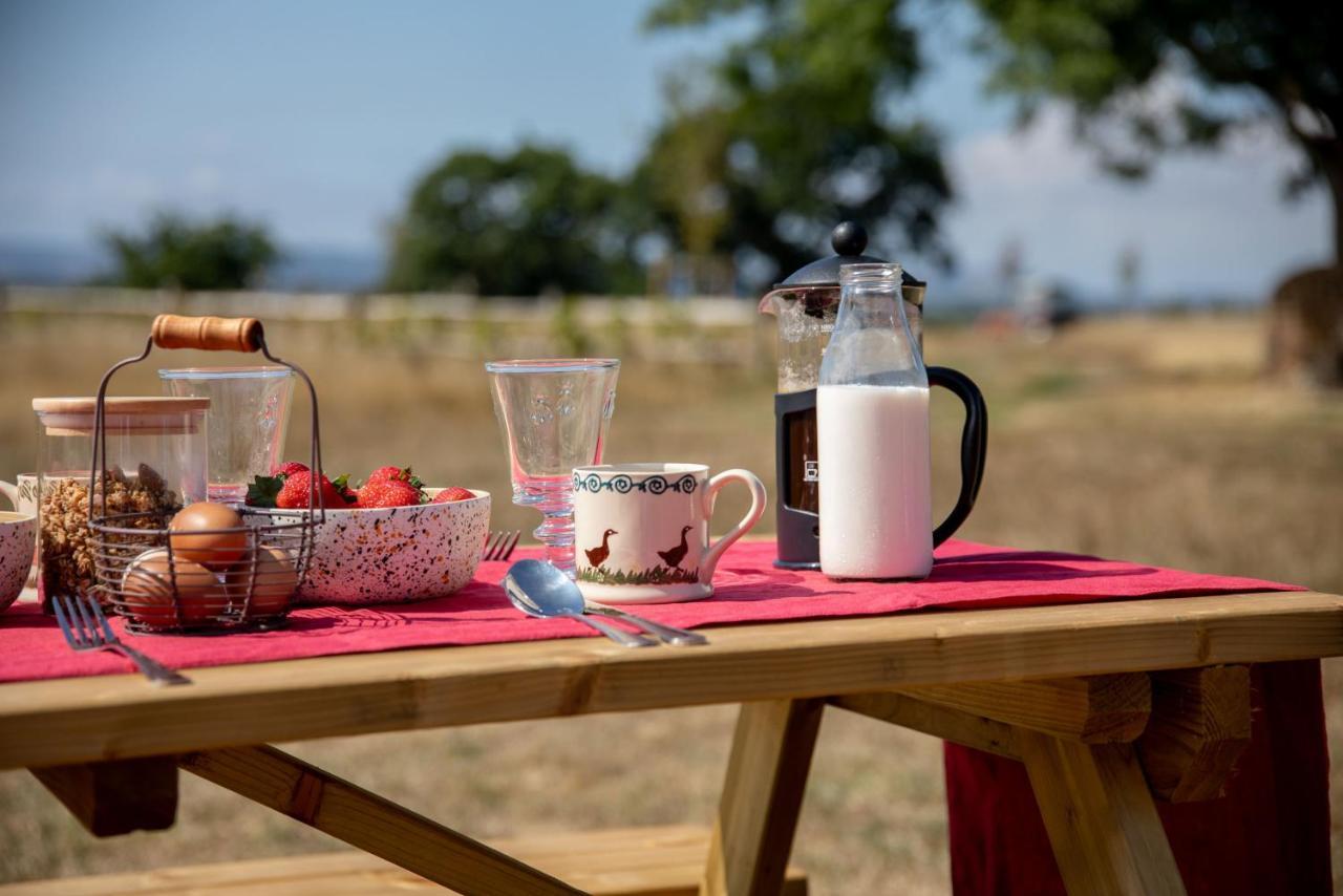 Hooe Barnhorn Glampingヴィラ エクステリア 写真